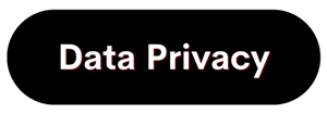 Data Privacy Icon